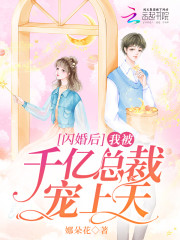主角叫苏向晚霍斯年的小说在哪阅读