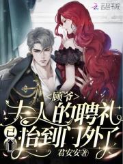 小说《顾爷，夫人的聘礼已抬到门外了！》全文阅读