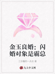 《金玉良婚：闪婚对象是霸总》小说全文在线试读，《金玉良婚：闪婚对象是霸总》最新章节目录