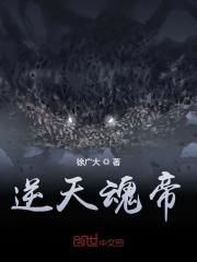 逆天魂帝楚青云叶琪小说免费阅读