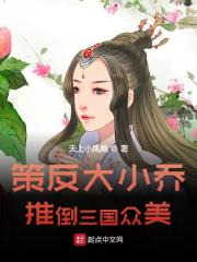 主角曹操小乔大乔小说完整版在线阅读，策反大小乔，推倒三国众美免费看-书格格
