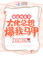 男女主人公陆梵叶迟晟小说被迫相亲后，大佬总想爆我马甲全文免费阅读-优文网