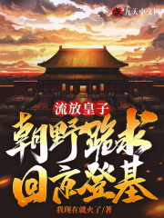 流放皇子：朝野跪求回京登基免费阅读，流放皇子：朝野跪求回京登基章节目录