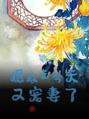 小说《摄政王今天又宠妻了》在线全文阅读-书格格