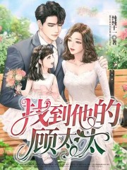 找到他的顾太太小说阅读，找到他的顾太太完整版