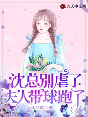 沈总别虐了，夫人带球跑了孟妗沈司闻，沈总别虐了，夫人带球跑了最新章节-经典文学