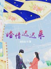 小说《婚情迟迟来》在线全文阅读