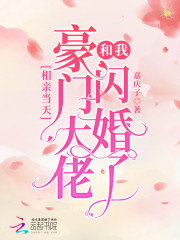 主角展颜谢辛小说完整版在线阅读，相亲当天豪门大佬和我闪婚了免费看-经典文学