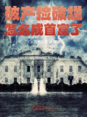 破产捡破烂，怎么成首富了洛风秦守，破产捡破烂，怎么成首富了最新章节-经典文学