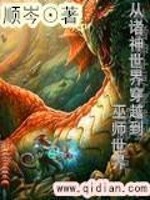 从诸神世界穿越到巫师世界免费阅读