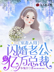 宠妻入骨：闪婚老公是亿万总裁主角沈岚程砚青小说完整版全文在线阅读