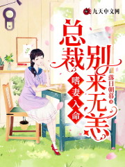 小说《嗜妻入命：总裁别来无恙》在线全文阅读