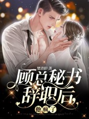 叶星辞顾凛寒小说叫什么（顾总秘书辞职后，他疯了免费阅读）-读书翁