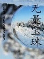 无量宝珠免费阅读
