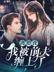 小说《离婚夜，我被前夫缠上了》在线全文阅读