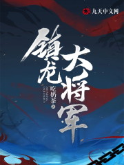 完整版《镇龙大将军》章节目录在线阅读