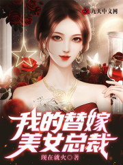 《我的替嫁美女总裁》全集免费在线阅读（林风唐雪惠）