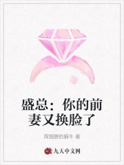 盛总：你的前妻又换脸了殷禾禾盛司渊小说在线全文免费阅读