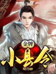 完整版《金牌小县令》全文阅读