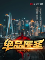 绝品医圣小说，绝品医圣陈小宝刘诗画