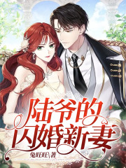 唐宝宝陆岩深小说叫什么（陆爷的闪婚新妻！免费阅读）