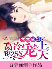 小说《恋恋成婚：高冷BOSS宠上天》全文免费阅读-锤石文学