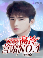 小说《闪婚萌妻：高冷首席NO.1》全文免费阅读-锤石文学