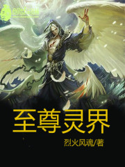 小说《至尊灵界》全文免费阅读-锤石文学