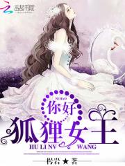 小说《你好，狐狸女王》全文免费阅读-锤石文学