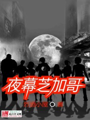 夜幕芝加哥全文在线阅读，夜幕芝加哥小说免费版-优文网