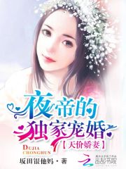 小说《天价娇妻：夜帝的独家宠婚》全文免费阅读-锤石文学