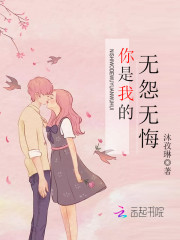 你是我的无怨无悔全文在线阅读，你是我的无怨无悔小说免费版-优文网