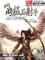 网游之极品射手全文在线阅读，网游之极品射手小说免费版-优文网