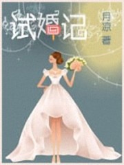 试婚记全文在线阅读，试婚记小说免费版-优文网