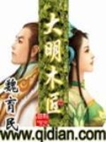 大明木匠全文在线阅读，大明木匠小说免费版-优文网