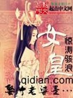 娶个老婆是女皇免费阅读