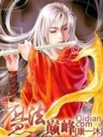 魔法巅峰免费阅读