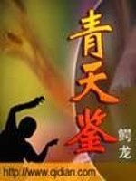 青天鉴免费阅读