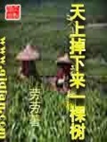 天上掉下来一棵树免费阅读
