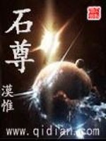 小说《石尊》全文免费阅读-锤石文学