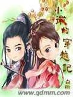小微的穿越记全文在线阅读，小微的穿越记小说免费版-优文网