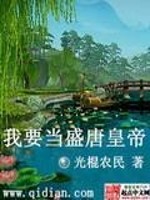 我要当盛唐皇帝全文在线阅读，我要当盛唐皇帝小说免费版-优文网