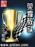 荣耀教头免费阅读