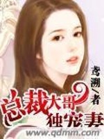 总裁大哥独宠妻免费阅读
