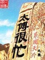 太傅很忙免费阅读