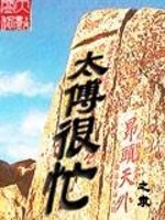 小说《太傅很忙》全文免费阅读-锤石文学