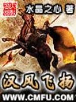 汉风飞扬免费阅读