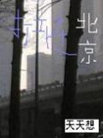 打工在北京全文在线阅读，打工在北京小说免费版-优文网