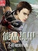 能晶机甲免费阅读