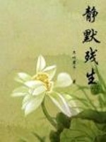 静默残生免费阅读